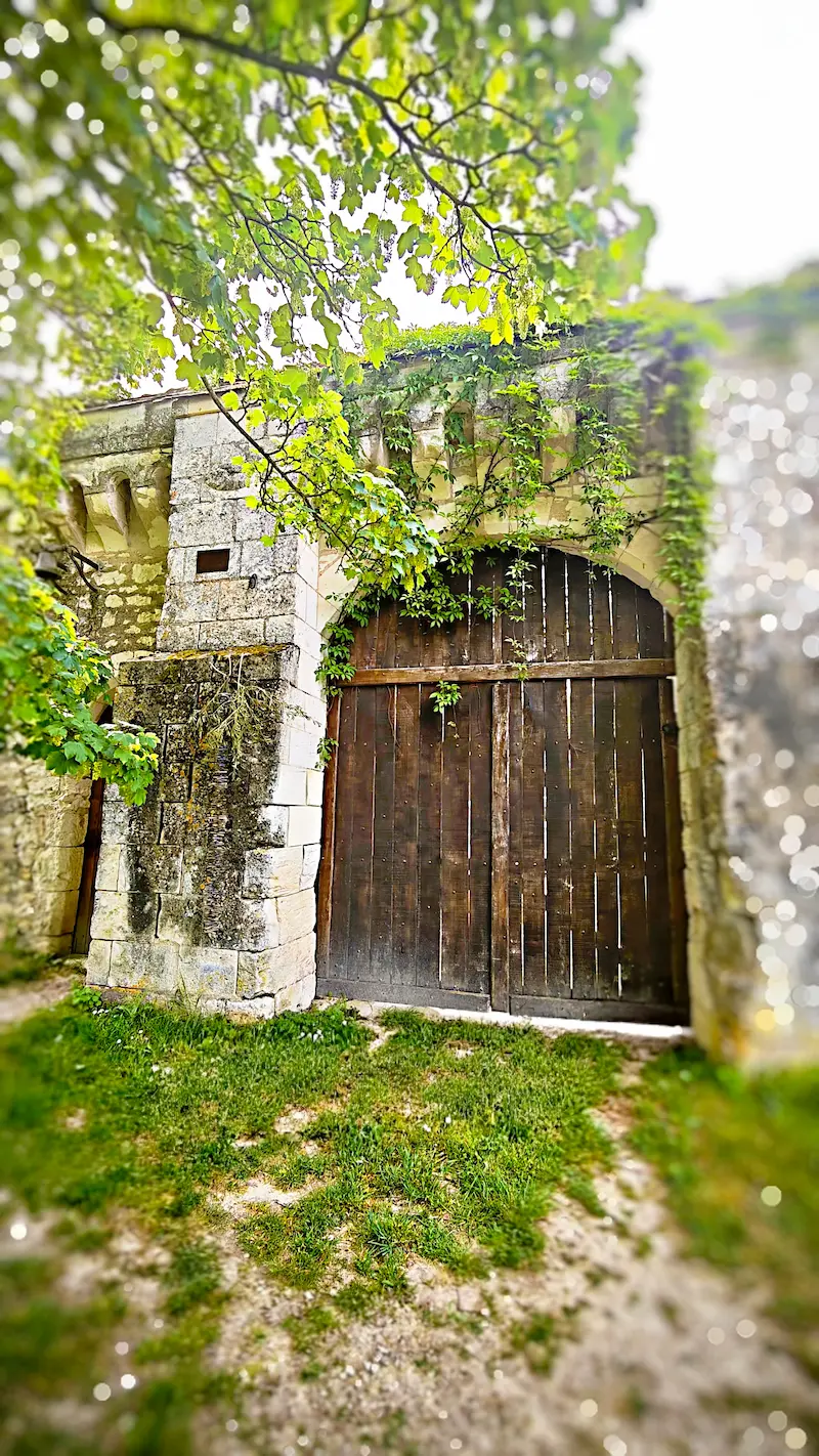 Portail du XVe siècle du Manoir du Canon Pantagruélion — pierre de tuffeau, végétation centenaire, époque de Rabelais